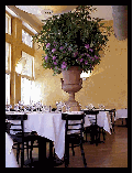 Click here for larger photo of Arqua Restaurant 281 Church Street Tribeca manhattan New York, NYC NY photo Dining Room.