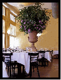New York Restaurant photos of Arqua Restaurant in Tribeca Manhattan New York NYC NY Restaurant Dining Room Pictures of Italian Restaurants in New York City Restaurant Menus Recipes Party Plans Lunch Dinner reservations available