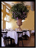 New York Restaurant photos of Arqua Restaurant in Tribeca Manhattan New York NYC NY Restaurant Dining Room Pictures of Italian Restaurants in New York City Restaurant Menus Recipes Party Plans Lunch Dinner reservations available                          