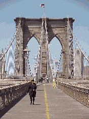 If you want some spectacular skyline views of New York City along with some exercise, walk the Brooklyn Bridge to Brooklyn Heights.  You'll find plenty of rewards within a fifteen to twenty minute walk.