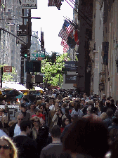 Fifth Avenue is lined with famous stores and businesses. If you walk Fifth Avenue in the middle of the day you'll find it packed with business people, shoppers, and tourists. Top left picture you see the crowds on Fifth Avenue.