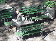 Center right photo a lady sharing her breakfast with her best friend in a park on the East River.