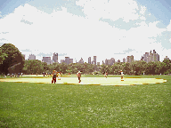 Center right picture you see the Great Lawn in Central Park with the skyline of New York City in the far distance.