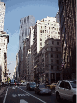 Bottom right picture you see Fifth Avenue and Trump Tower in the far distance. Fifth Avenue is one of the best shopping areas of New York City. You'll pass by many famous stores and see street vendors selling knock-offs along the way.