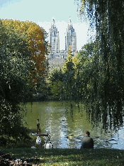 Top right picture you see an artist taking a break to enjoy the pretty scene overlooking the lake and the buildings of the Upper West Side.