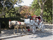 Center right picture you see one of the many beautiful horse drawn carriages making its way through Central Park.