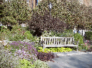 Top right picture was taken at Battery Park.  This beautiful garden setting overlooks the empty space in the skyline and the ruins of the World Trade Center.