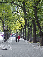 Top right you see the sidewalk on Fifth Avenue at Central Park along Museum Mile.