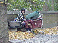 Center right photo you see a homeless person near Central Park.  It's getting cold outside. Please give your extra coats and clothes to charity.