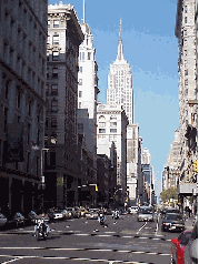The city is divided East and West by Fifth Avenue.  You can also look up and use the skyscrapers to tell you if you are uptown or downtown.  Top right you see Fifth Avenue with the Empire State Building in the distance.