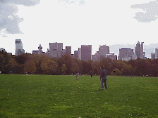 Bottom right picture you see the skyline of the city as seen from the Great Lawn in Central Park.  That's the Citicorp Building you see to the far left.