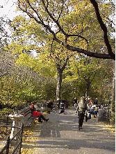 When he feels like a little nature our new Mayor can walk across the street from his townhouse to Central Park.