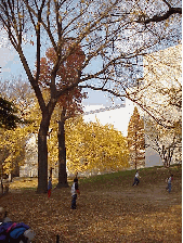 Center right picture you see the side of the Metropolitan Museum of Art in Central Park. The area surrounding his home has many expensive art galleries, luxury apartments, Iraq's Mission to the United Nations and headquarters for the Greek Orthodox.