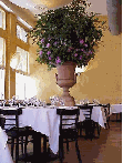 New York Restaurant photos of Arqua Restaurant in Tribeca Manhattan New York NYC NY Restaurant Dining Room Pictures of Italian Restaurants in New York City Restaurant Menus Recipes Party Plans Lunch Dinner reservations available