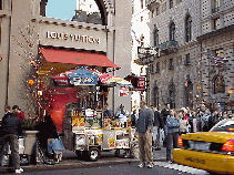 Center right picture you see the corner of Fifth Avenue and the Louis Vuitton store. The push carts line the streets everywhere with vendors selling hot dogs and pretzels.