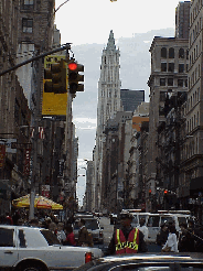 Bottom right picture you see Broadway and Canal Street.  In the distance you see the Woolworth Building which is located downtown near City Hall.  Chinatown is another area of NYC that you will surely fall in love with.  In Chinatown you'll find plenty.