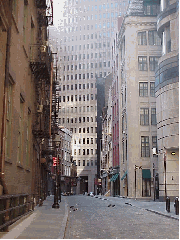 Finding a street in NYC without traffic or pedestrians is very rare. When you do see these unusual moments, it's almost eerie. Top right picture you see one of those quiet occasions on Mill Street downtown.