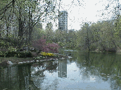 Center right picture you see the reflections of buildings at Columbus Circle on the Pond.  The pink trees and spring flowers brighten the perfectly landscaped lawns of Central Park.
