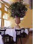 New York Restaurant photos of Arqua Restaurant in Tribeca Manhattan New York NYC NY Restaurant Dining Room Pictures of Italian Restaurants in New York City Restaurant Menus Recipes Party Plans Lunch Dinner reservations available                          