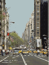 Center right picture you see Fifth Avenue near 57th Street.  The trees on the left are in Central Park at Grand Army Plaza.