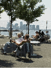 Top right picture you see New Yorkers relaxing on one of the new Hudson River Parks.  That's the skyline of New Jersey in the background.