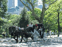 Bottom right picture you see people enjoying a carriage ride through Central Park.