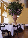 New York Restaurant photos of Arqua Restaurant in Tribeca Manhattan New York NYC NY Restaurant Dining Room Pictures of Italian Restaurants in New York City Restaurant Menus Recipes Party Plans Lunch Dinner reservations available