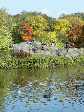 New Yorkers on a rock