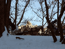 A squirrel in Central park as a carriage goes by.