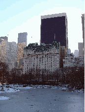 Plaza Hotel Central Park