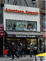 American Kennels at 789 Lexington Avenue