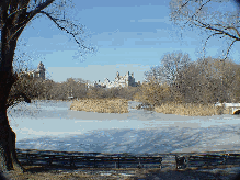 The Lake in Central Park frozen over in ice