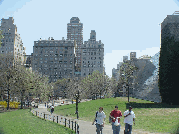 Central Park beside the Metropolitan Museum of Art on Fifth Avenue