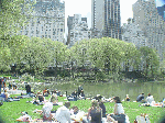 New Yorkers enjoying a spring day in Central Park. In the distance you see the Plaza Hotel