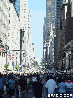 Fifth Avenue