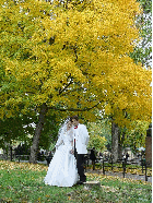 A bride and groom in Central Park