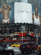 Calvin Klein billboard on Forty Second Street in Times Square
