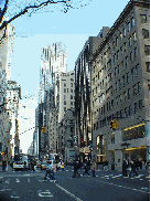 Fifth Avenue