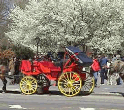 New York Horse and Carriage