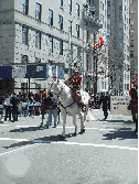 Greek Man on Horse at Greek Parade Pictures featuring American Greeks marching on 5th Avenue at the Greek Independence Day Parade 2004.