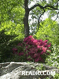 Central Park, Manhattan, New York City.