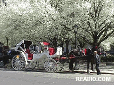 Central Park Horse and Buggy Carriage, Manhattan, New York City.