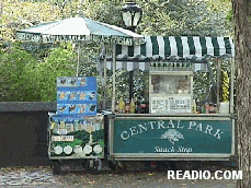 Central Park Vendor, Fifth Avenue, Manhattan, New York City.